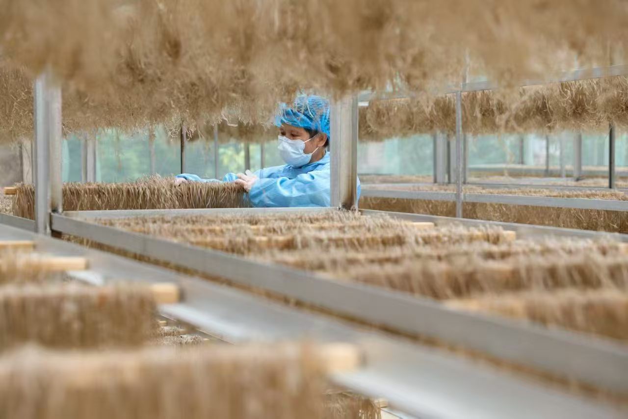 湖南汨罗长乐古镇｜手工红薯粉美味攻略！