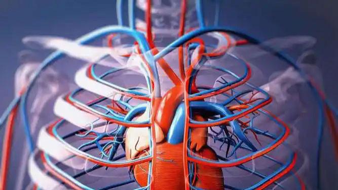 从神学桎梏到科学革命：近代科学发展史