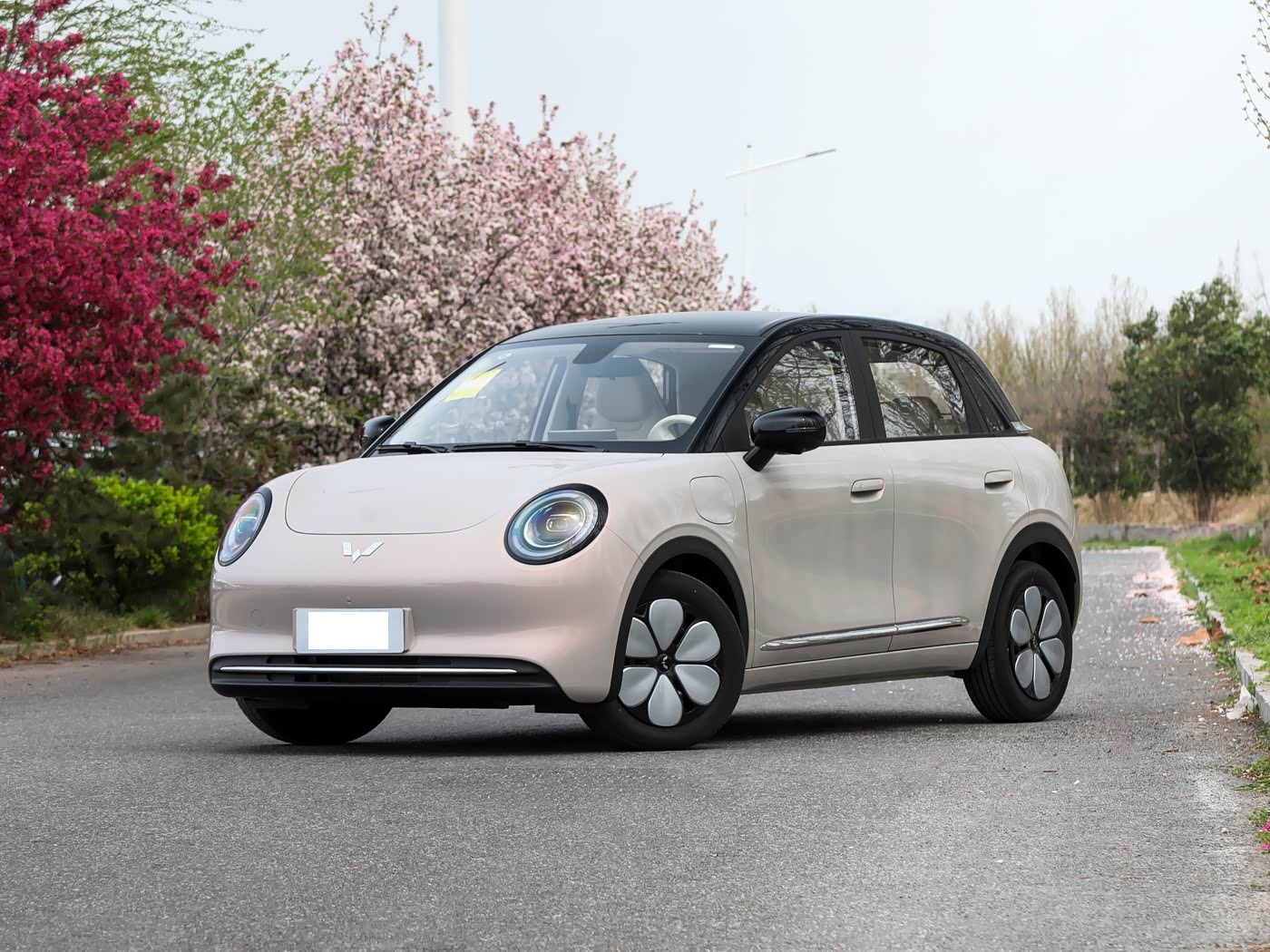 五菱全新纯电小型车即将上市！预售不足6万，外观年轻，续航40