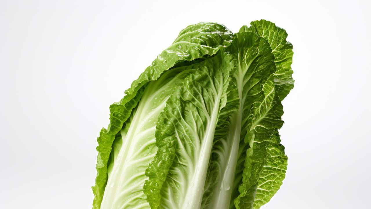 中国的白菜不好砍