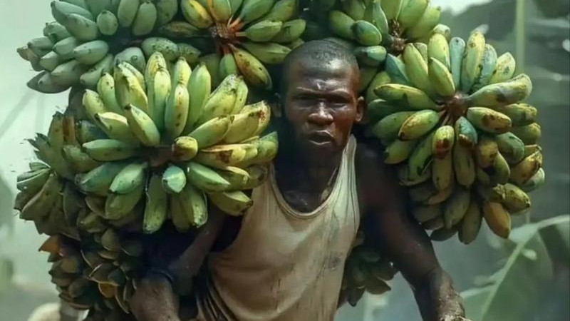 非洲奥德彪们卖香蕉，下一代人离造芯片还远吗？