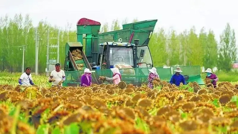 厚道的品牌才能走得远，傻老大用一枚".商标"在线上延续这份厚道