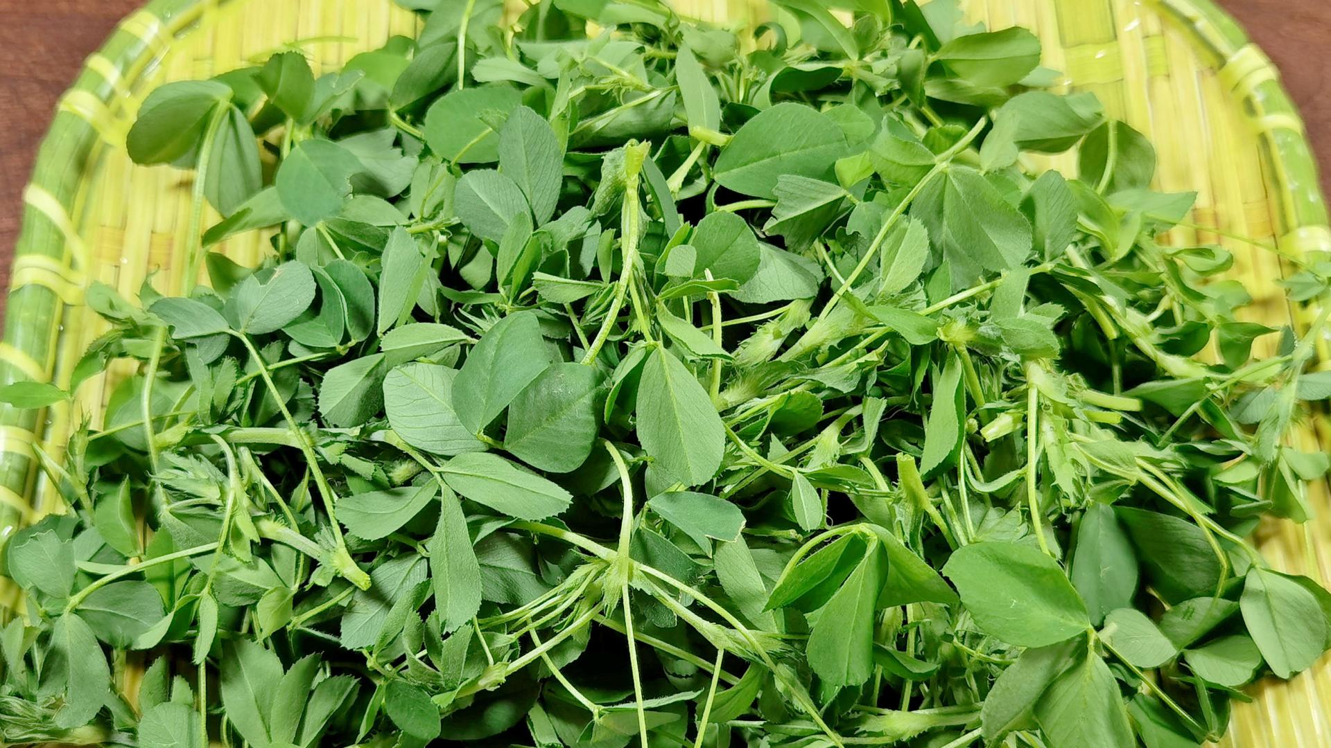 3月使劲吃这菜，“头茬赛人参”！鲜嫩营养，全身是宝，农村遍地是，错过等1年！