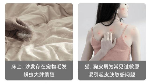 家用除螨仪哪个牌子的好？什么牌子除螨仪好？现象级爆款家用除螨仪十大名牌，惊喜拉满！