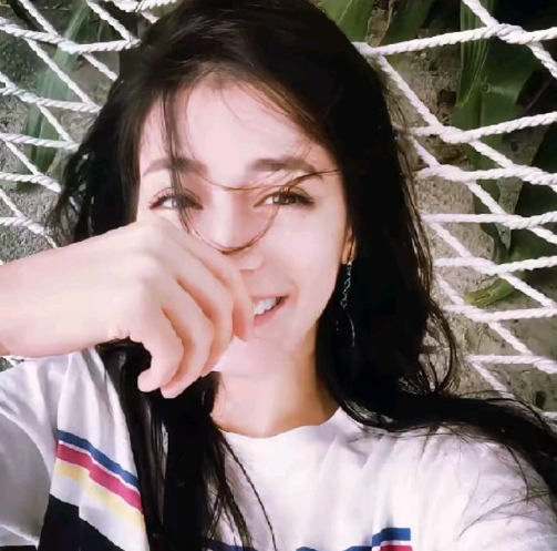 你用一场盛大的梦里花来点亮了我清晨的光