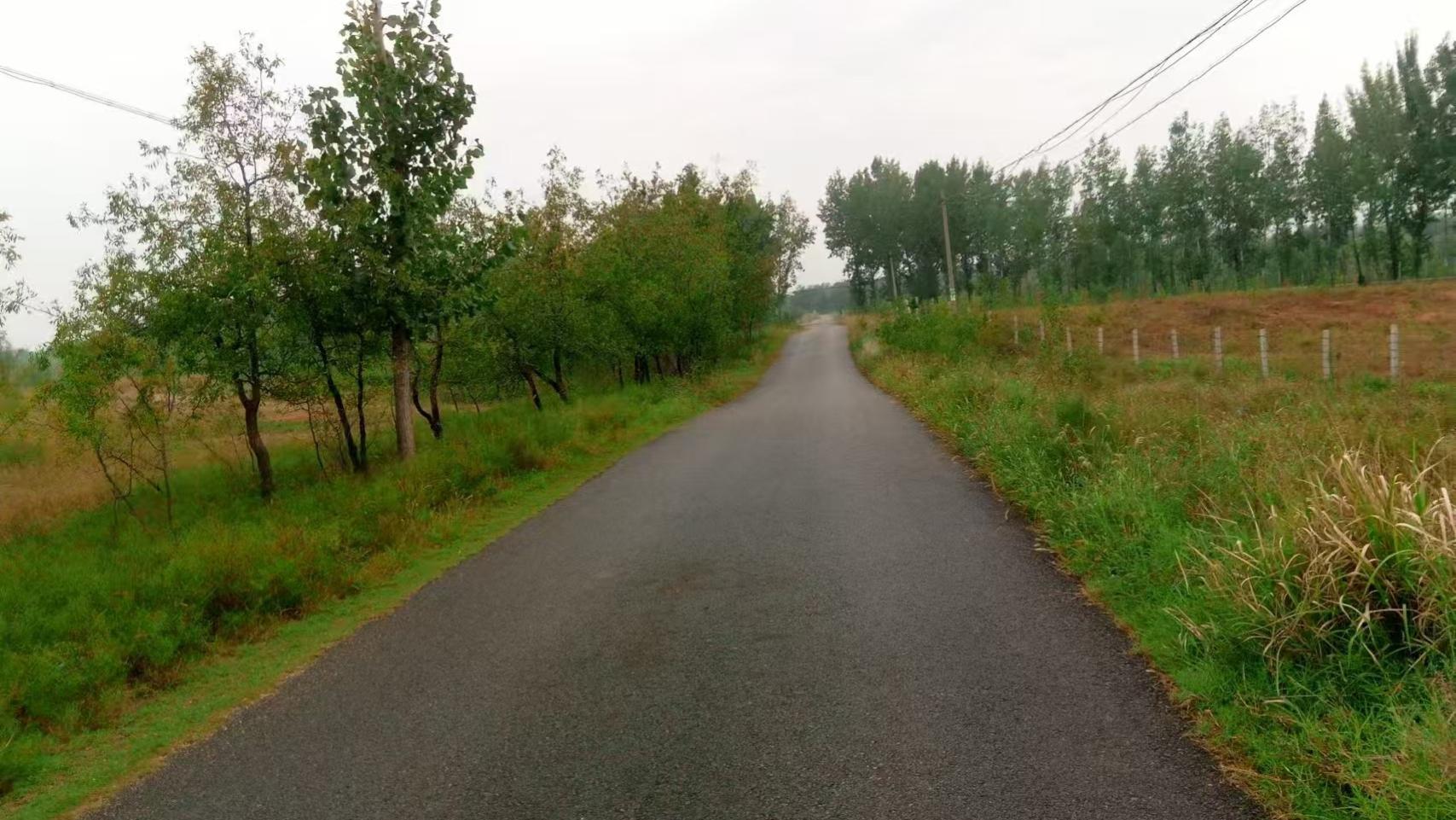 PSE认证核心区分：圆形与菱形的核心差异全解析