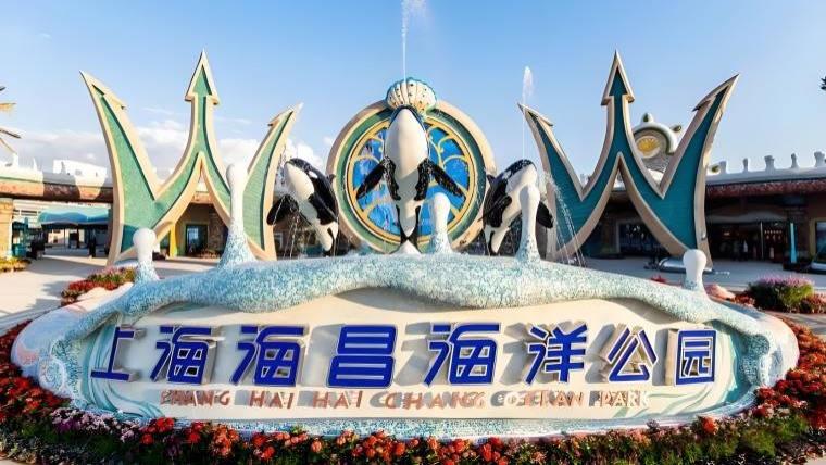 苏州三六六社会实践｜上海海昌一日游，萌宠海洋 + 演艺游乐一站式畅玩