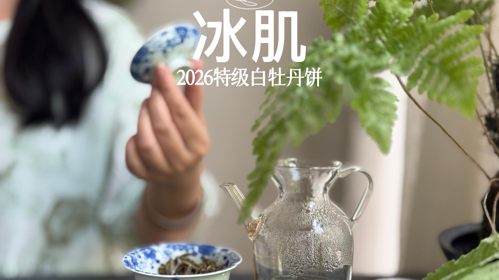 避雷！茶圈3大争议茶，早就列入“黑名单”了，看看你中招了吗？