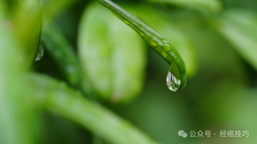 气血足不足，看这3处就知道了，附7天饮食清单