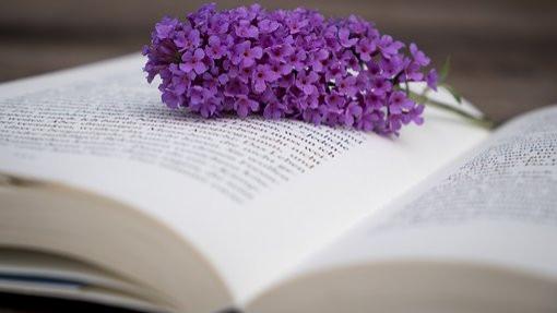 控股股东向债权人表示以自有财产偿债，是否构成债务加入？