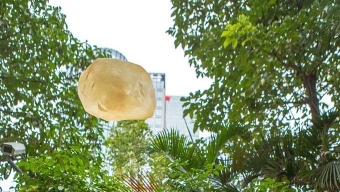 街头飞饼师傅获评外籍专家？千元补贴引热议，认定标准遭全网质疑