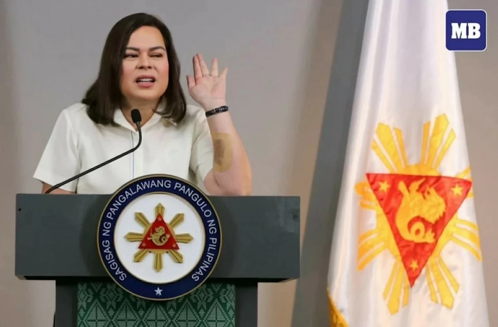 莎拉·杜特尔特：纯属虚构！