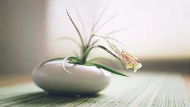 一种很绝的心态：凡所发生，要么助你，要么渡你