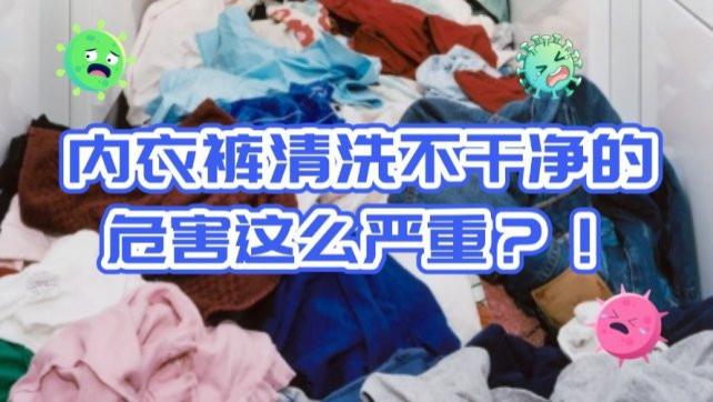 内衣洗衣机可以洗袜子吗？美的/希亦等十台热门爆款内衣洗衣机！适合新手日常使用的型号要知道！
