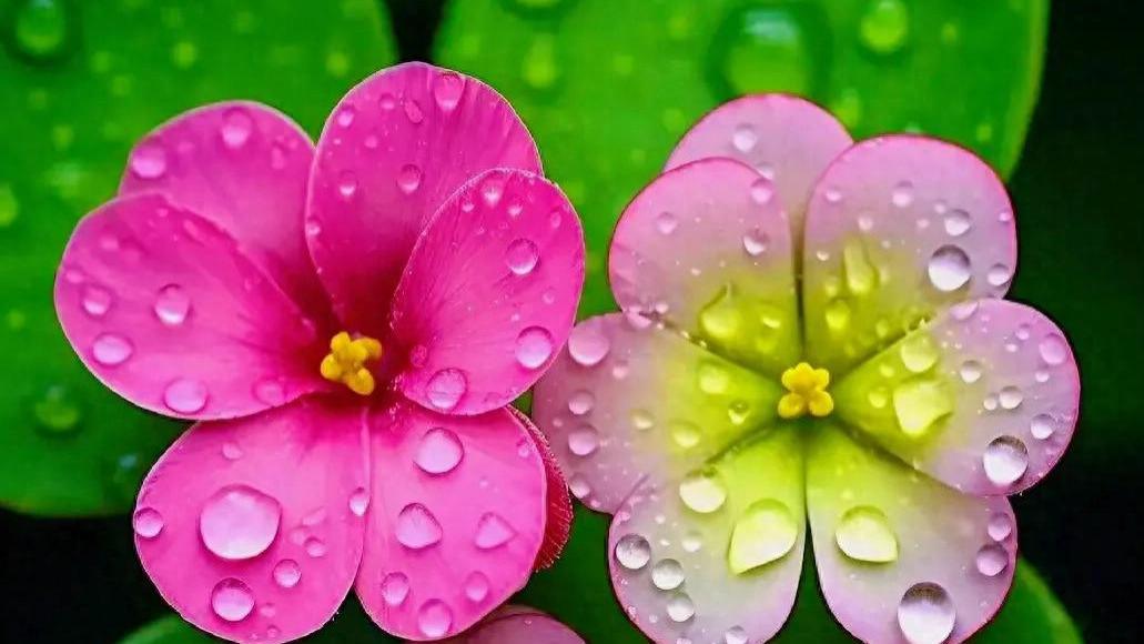 坚强走世界，包容待他人，平和过生活，方可行有所成