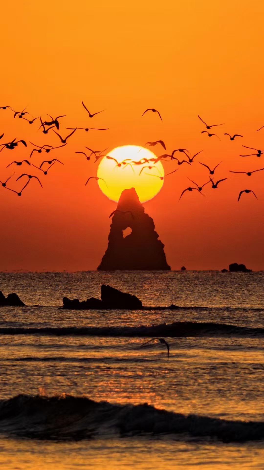 被原生家庭严重迫害过的人，基本上都是年月为忌的，本来是你最亲的人，却伤害你最深。