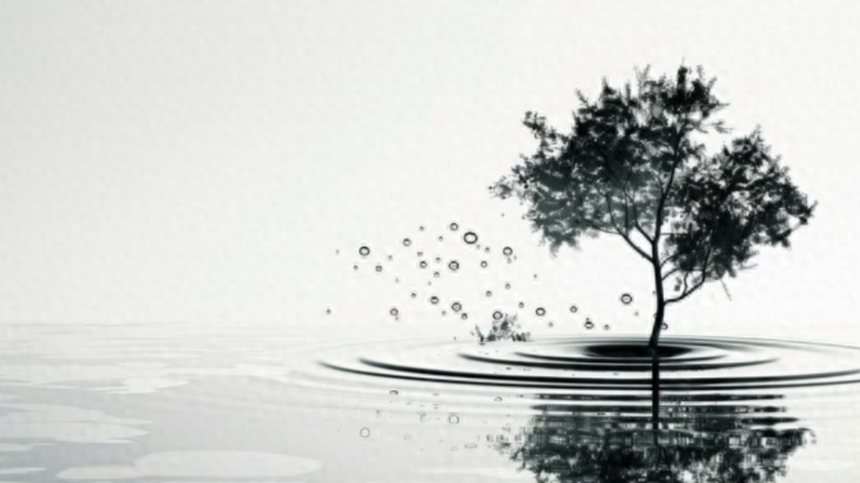 人有没有本事，过节一看便知：这 3 个通病藏不住