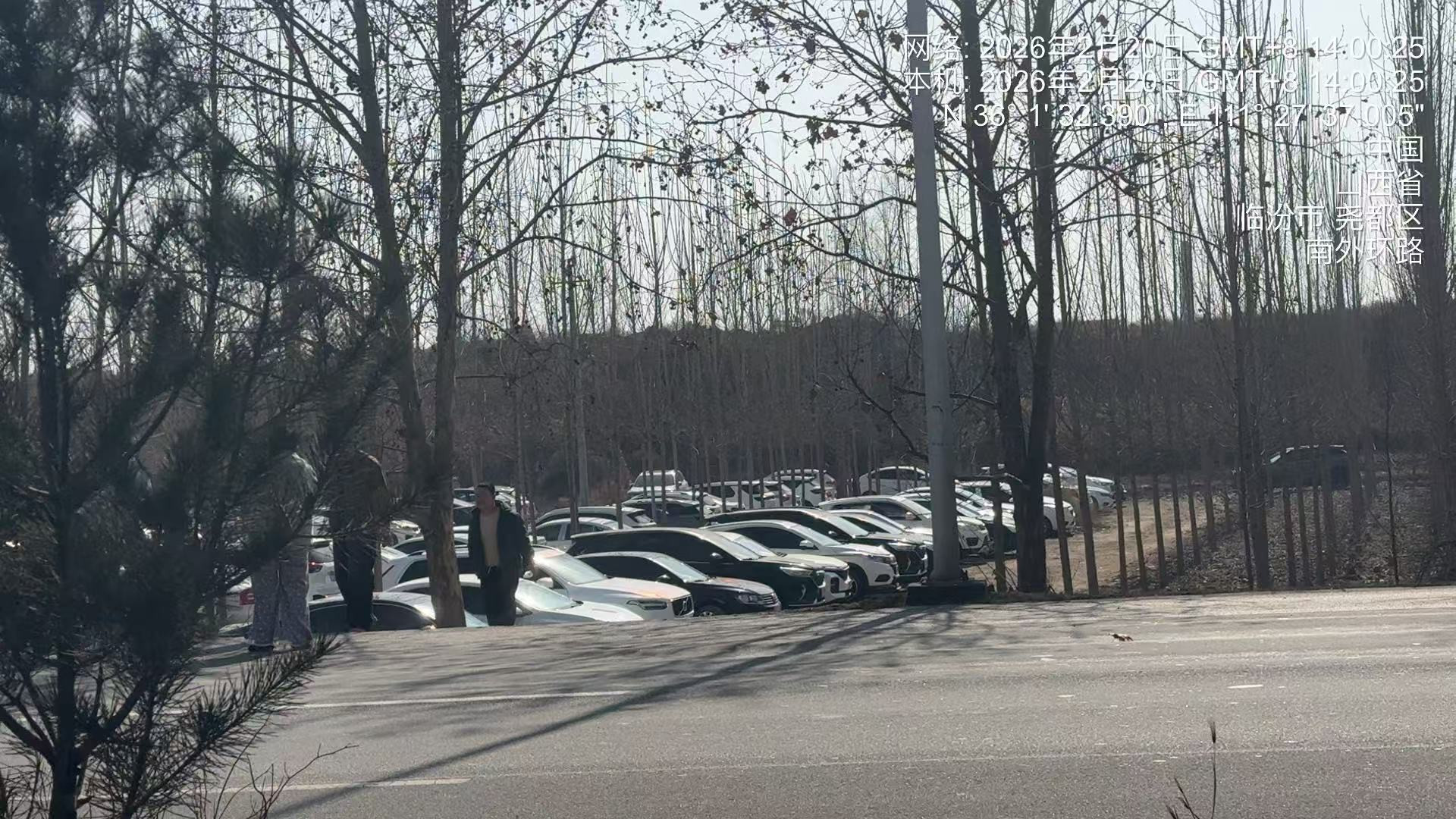 临汾动物园外“野生停车场”乱象：谁在占用公共资源？