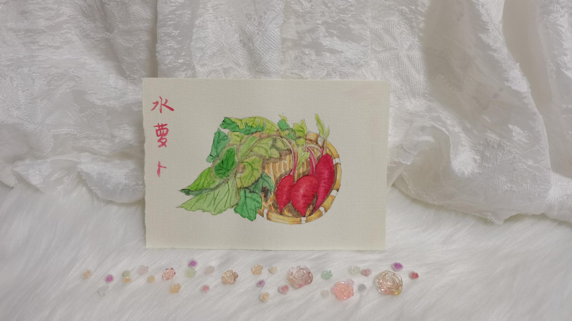 33 水萝卜（果花甘07）