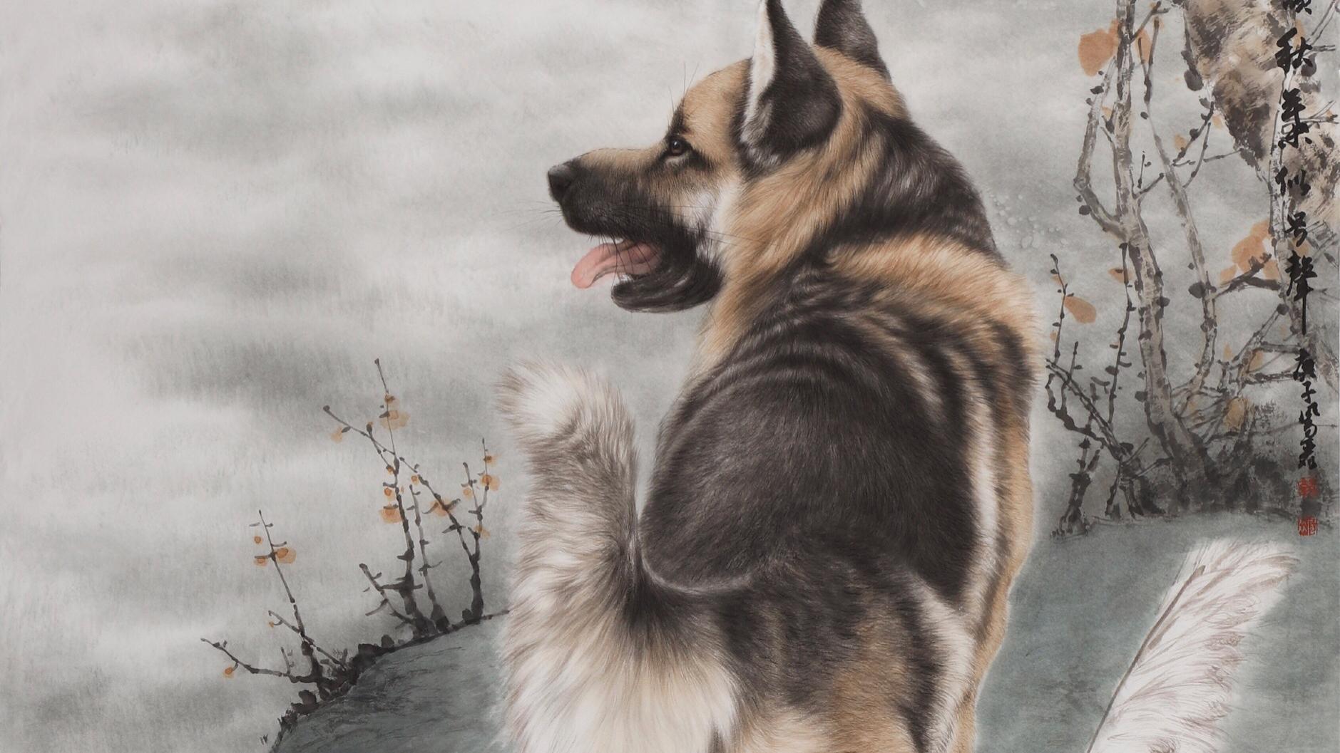 生肖猴，鸡，狗，2026年2月：多多自控，减少争执！