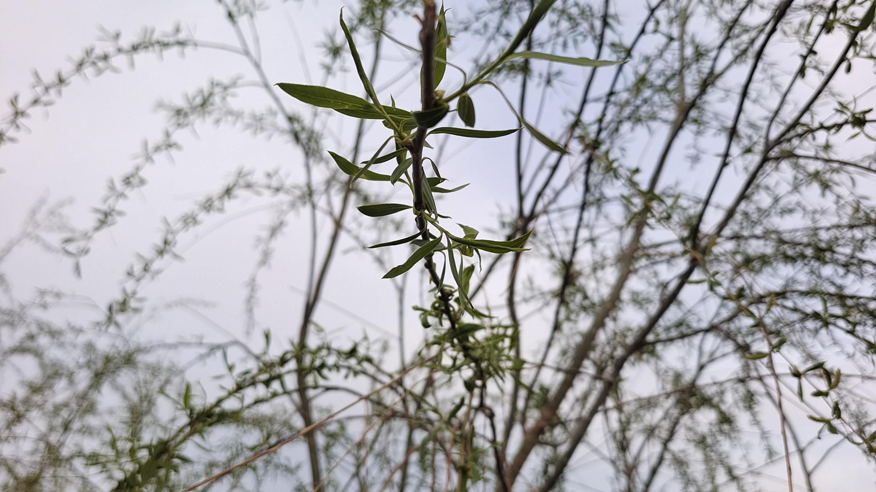 3D088期，组六五码复式12389