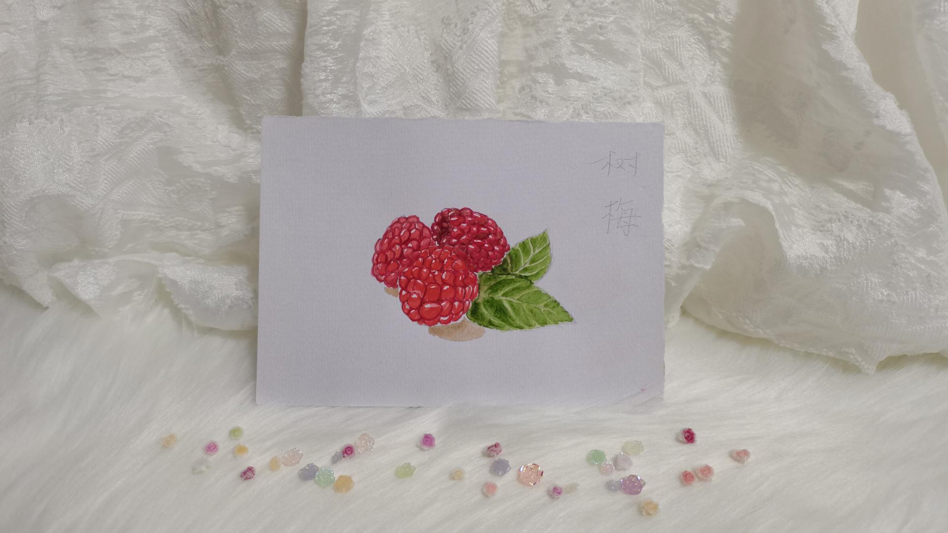 06 树莓（果花甘07）