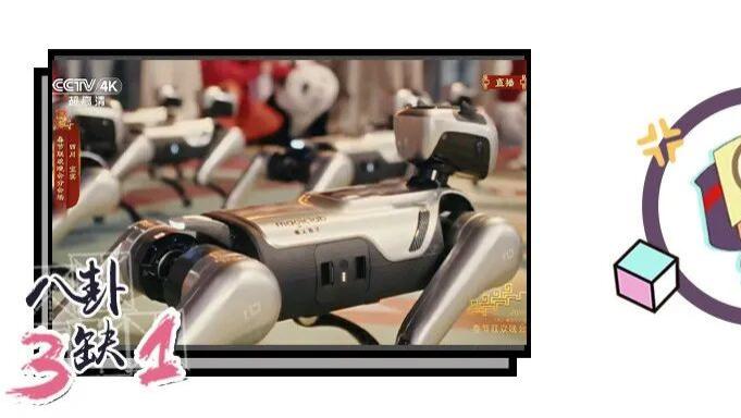 这届春晚机器人“成精”了。。