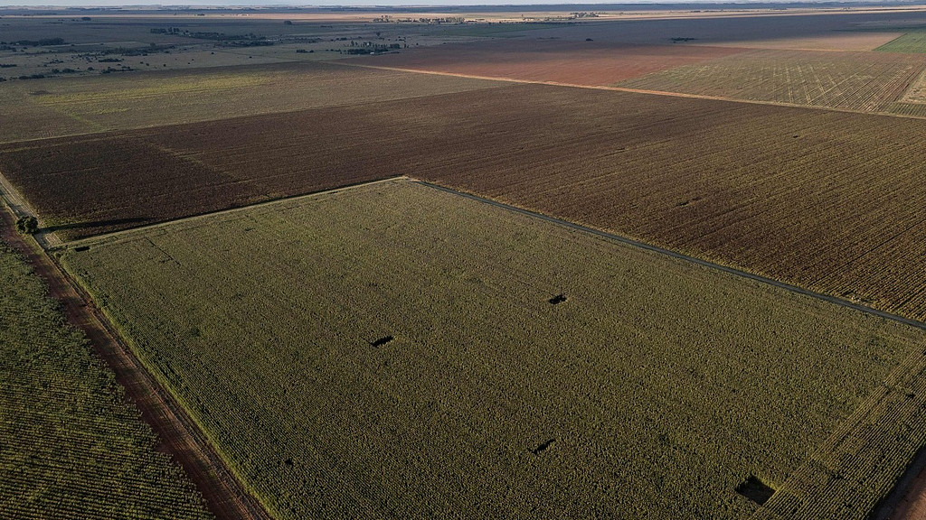 农作物生长周期的缩短培育；产量翻倍、降低人力物力成本、防范灾害