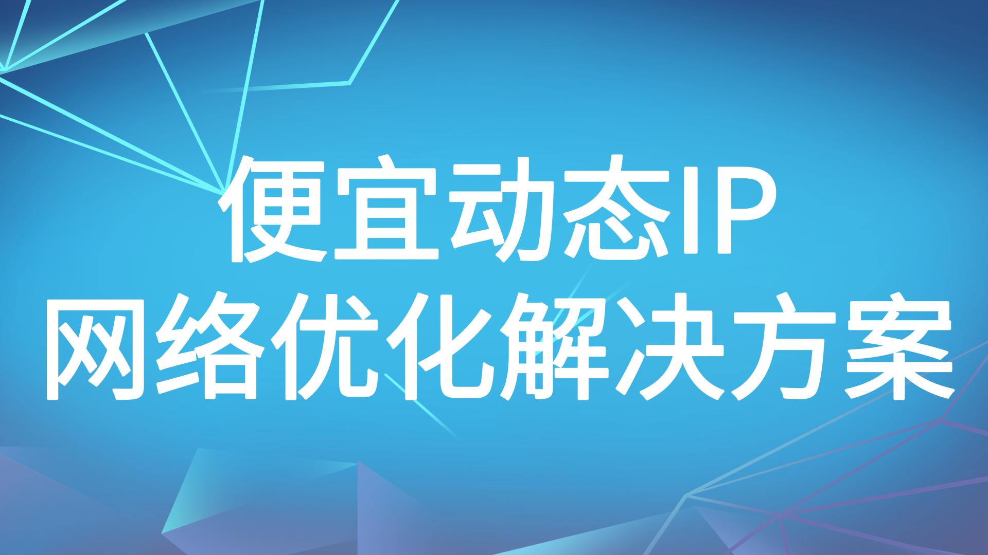便宜不廉价：动态IP低成本优化网络的实战分享