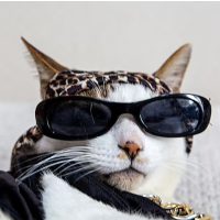 永远到底有多远