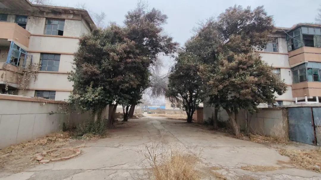 逛遍德州：探秘德州部队医院老宿舍，历经沧桑变迁，到了里面发现也很拉风