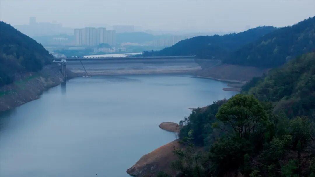 望乡｜金坑岭的传说