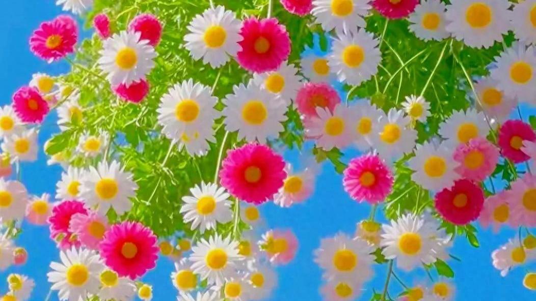 以静心修身，内心才安宁；以安静处世，日子才顺遂