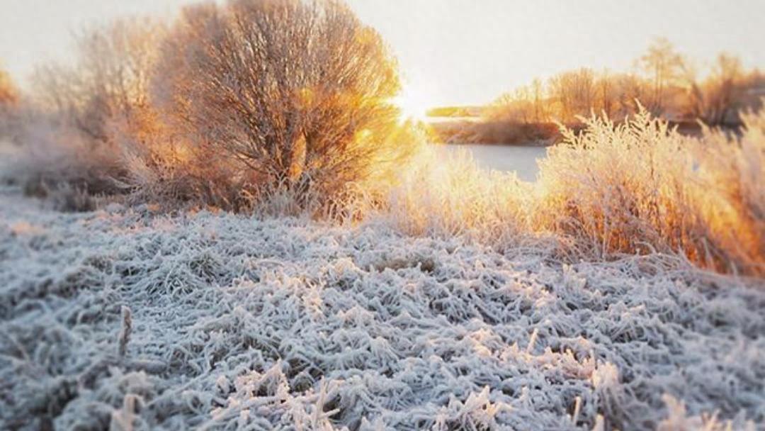 焦虑的解药不是放松，而是思维降噪！