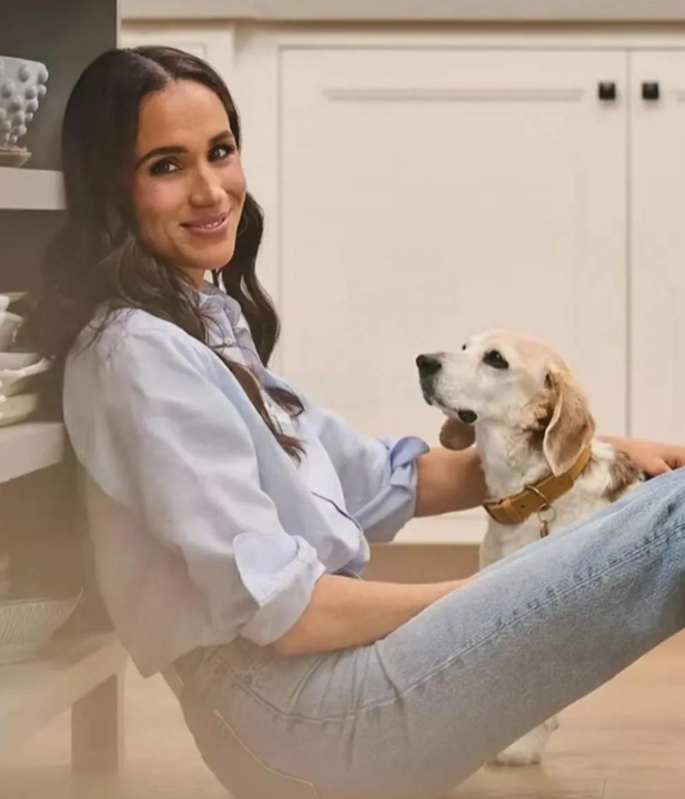 其实梅根的时尚度很好
做个时尚生活博主很适合，对时尚的灵敏度多不错，身材和话题度