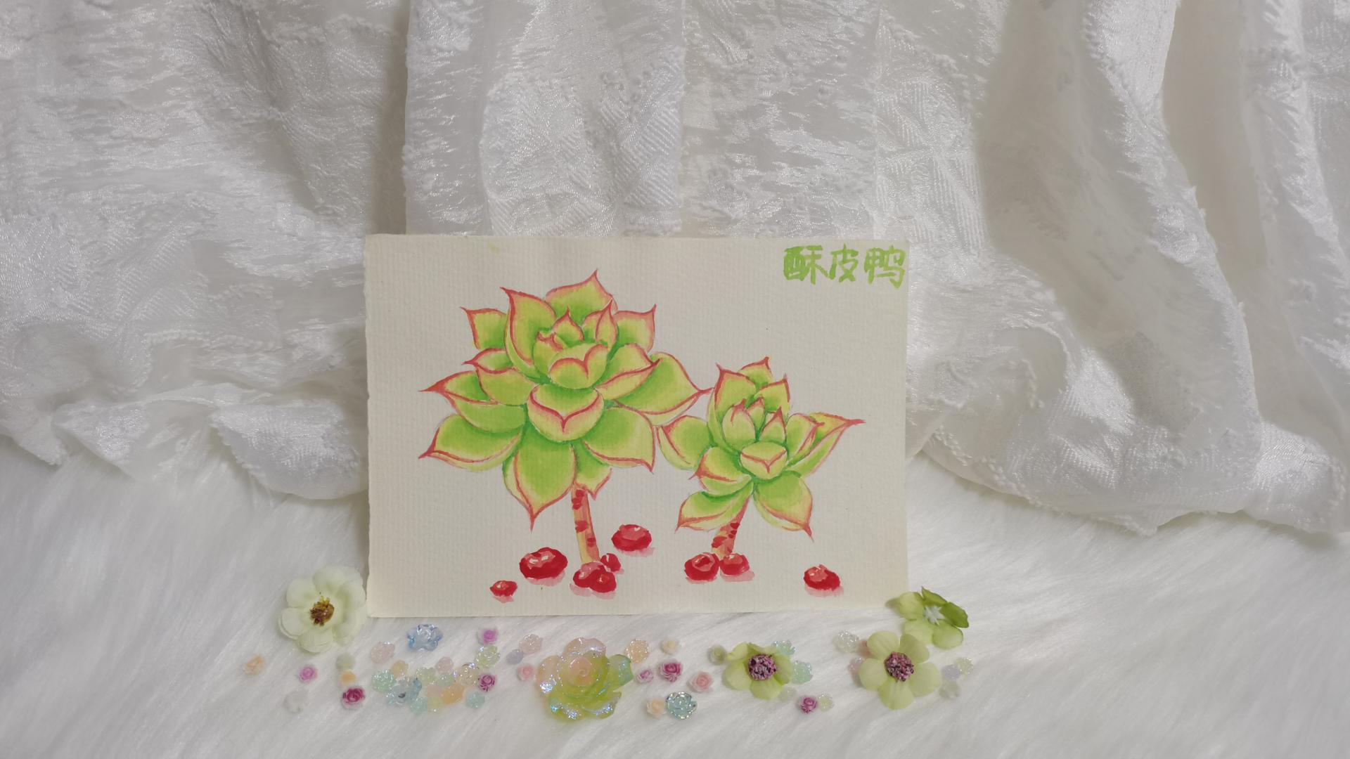 01 水彩小蒂亚（果花甘08）