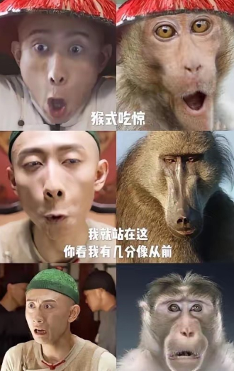 张一山这几年为啥没啥动静了？说白了，就是一部《鹿鼎记》把路给走窄了。

2020