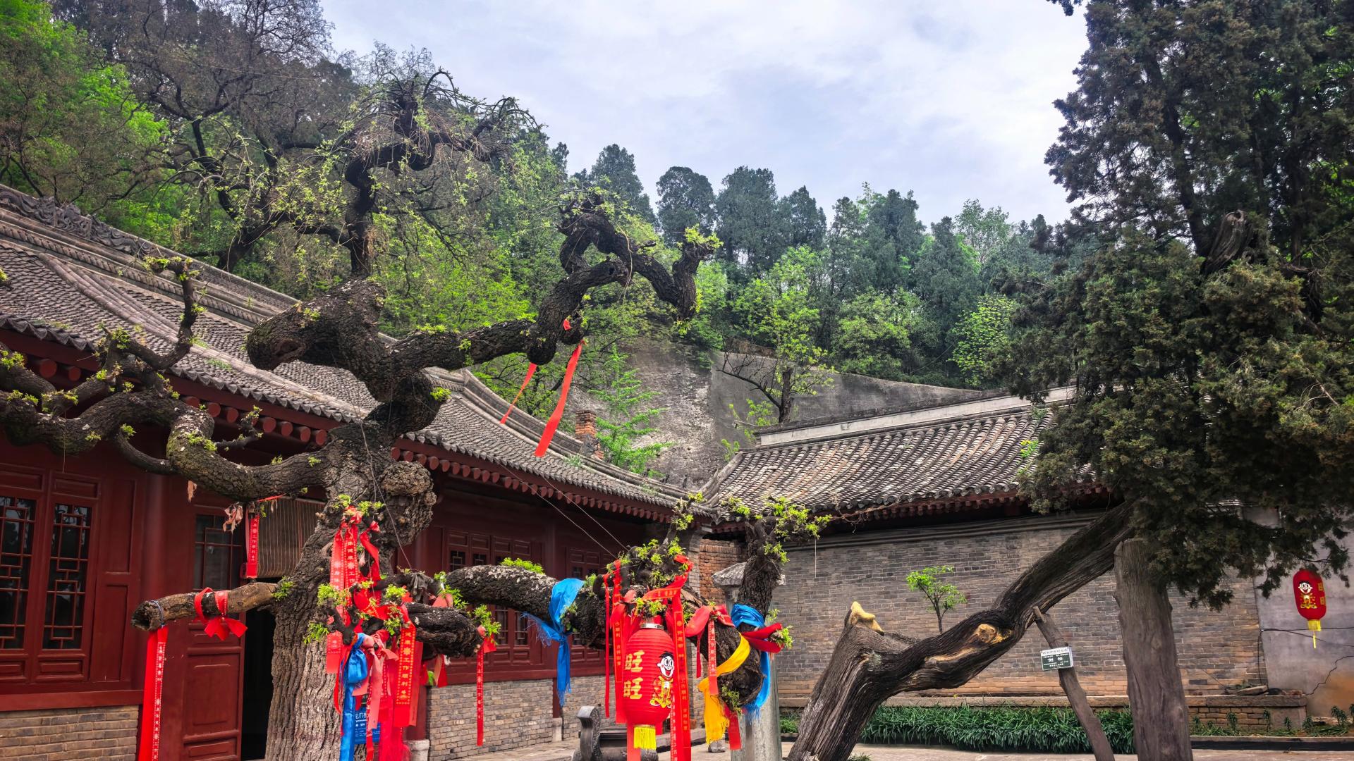 少陵原畔有唐代三宝的这座古寺，也是樊川八大寺之一，可少为人知