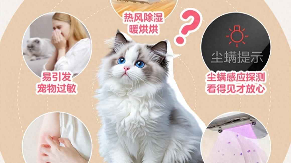 友望除螨仪是智商税吗？除螨仪哪家好排名第一的？除螨仪排行榜前十名对比实测！ 跟着买不踩雷