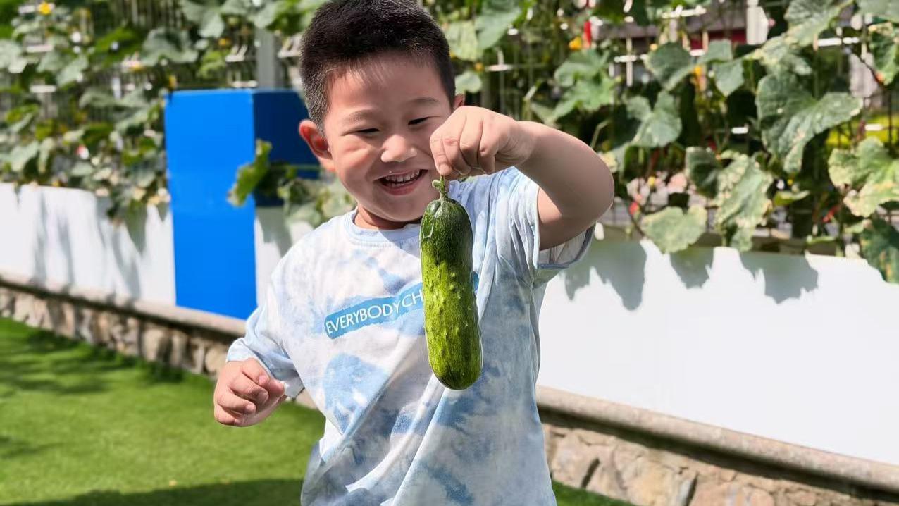 揭秘！幼儿园学英语，中教与外教谁更胜一筹