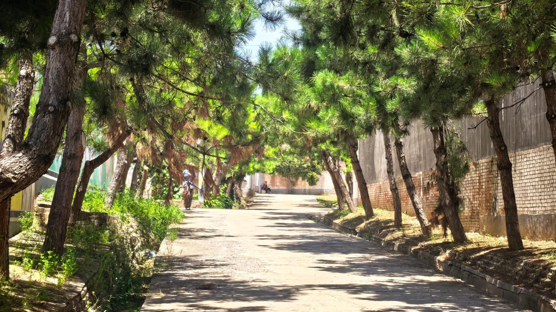 “西北革命巨柱”的他，要没早死，近代陕西的历史，可能就改写了