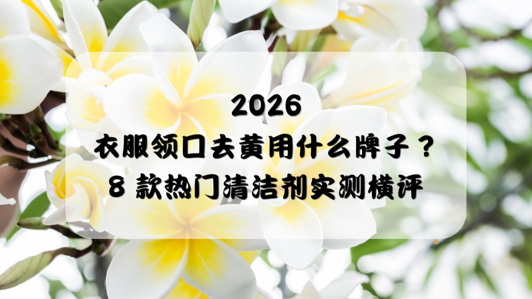 2026衣服领口去黄用什么牌子？8 款热门清洁剂实测横评