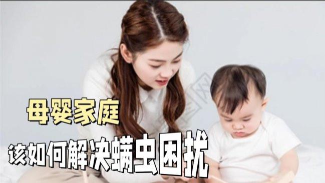 友望和莱克吉米除螨仪哪个好? 哪款除螨仪最值得购买? 揭秘2026年十款除螨仪真实使用效果