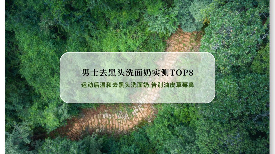 2026男士去黑头洗面奶实测TOP8 运动后温和去黑头 告别油皮草莓鼻