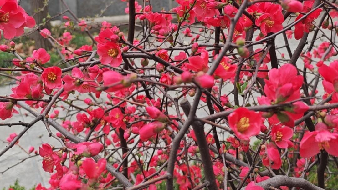 孩子的未来，决定了父母的自信与尊严。我的一点具体感受