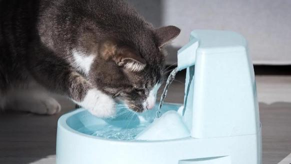 宠物饮水机如何检测缺水并自动加水？