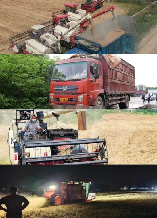 雨口夺粮！全民奋战守住夏粮丰收底线

南方连日强降雨，直击湖北、河南等夏粮主产区
