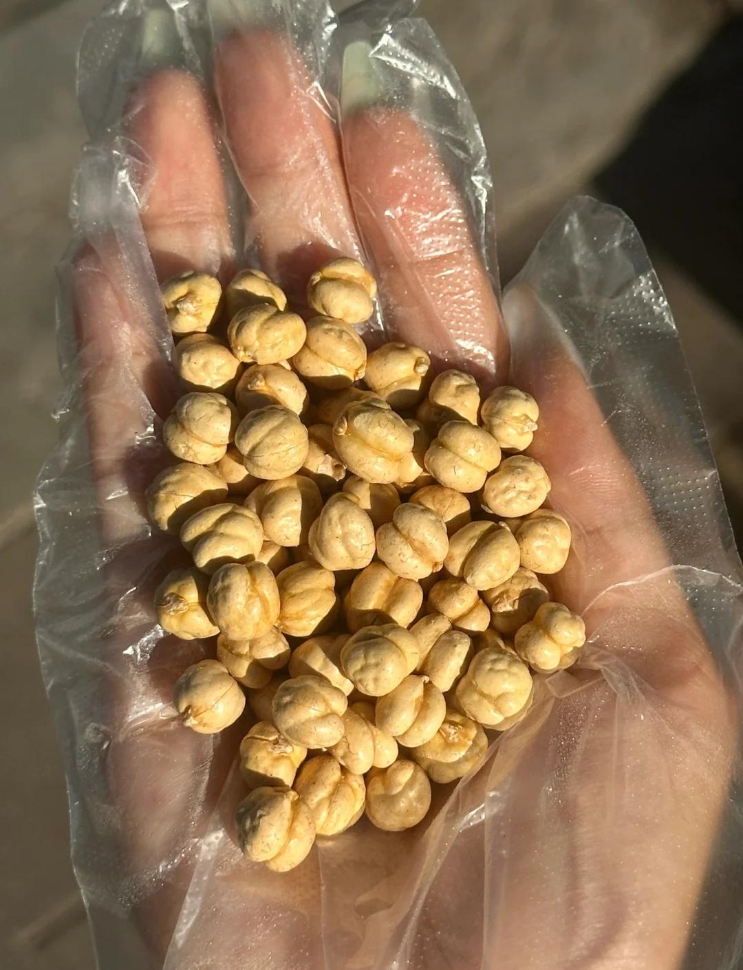 新疆宝藏零食🌰鹰嘴豆值得吃！