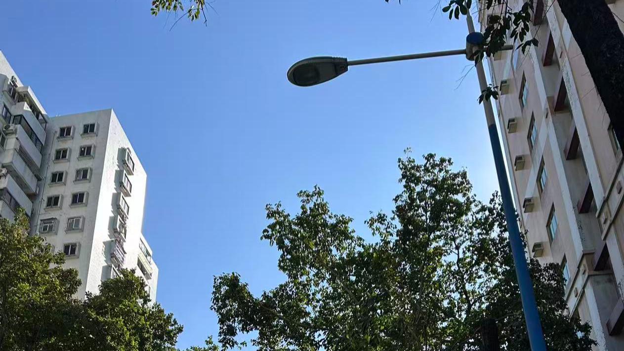 新年有什么建议，参照去年吧