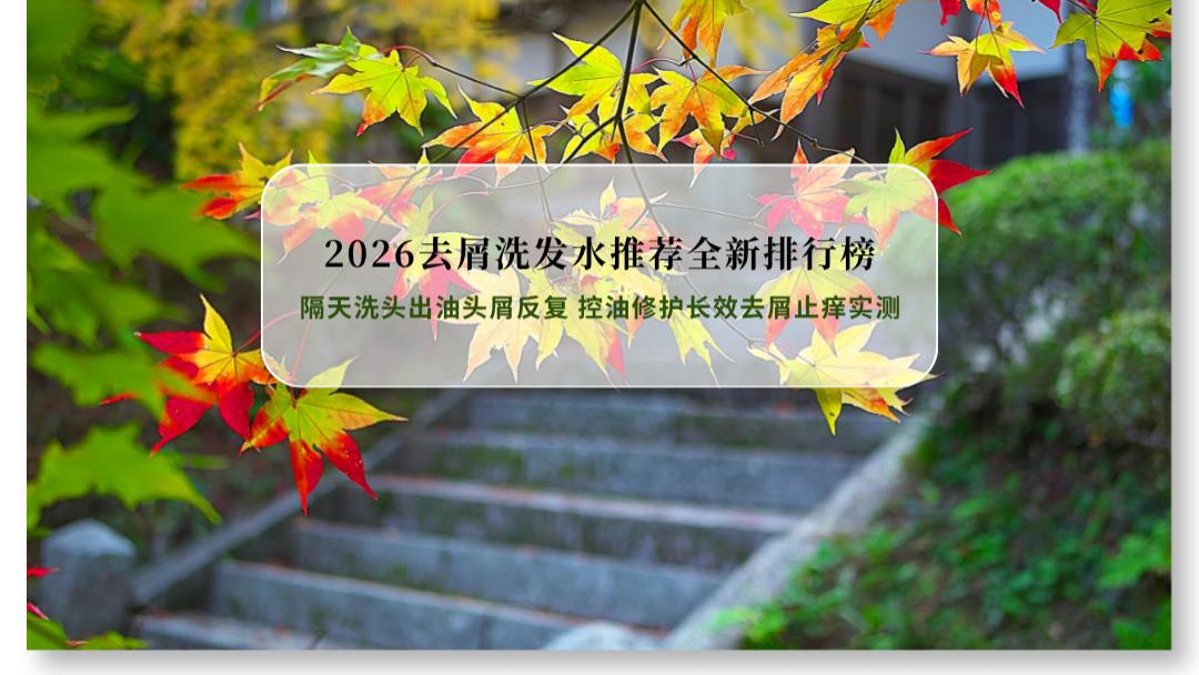 2026去屑洗发水推荐全新排行榜：隔天洗头出油头屑反复 控油修护长效去屑止痒实测
